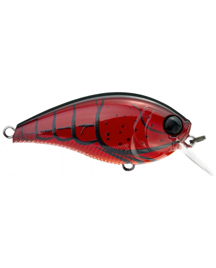 2.4" 3-5ft 3DB 1.5 Squarebill 60 (F) (Yo-Zuri)