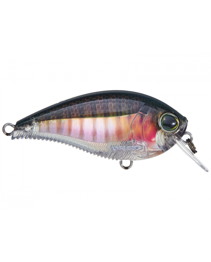 2.4" 3-5ft 3DB 1.5 Squarebill 60 (F) (Yo-Zuri)